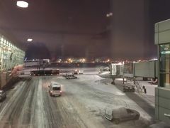 -谢列梅捷沃国际机场