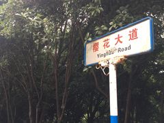-武汉大学-樱园