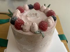 -山与蓝·轻糖鲜果蛋糕(勒泰店)