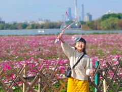 -海珠湖公园