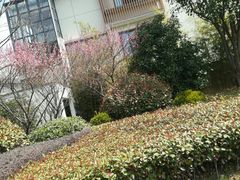 -水月周庄铂尔曼酒店-水月荟中餐厅