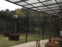 -三江森林温泉度假区