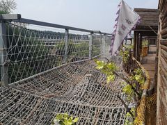 -北京呀路古热带植物园