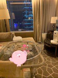 -巍阁高端月子会所