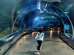 -石家庄海洋公园