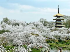-东湖磨山景区