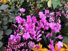 -北京植物园-展览温室