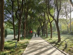-宋庆龄陵园