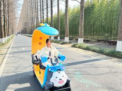 -黄海国家森林公园