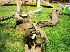 -西安秦岭野生动物园