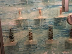 -下渚湖国家湿地公园科普馆