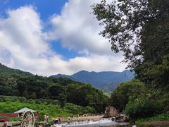 -广州市石门国家森林公园