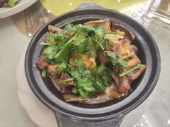 -雅香园·30年老字号顺德酒家(乐从岳步店)
