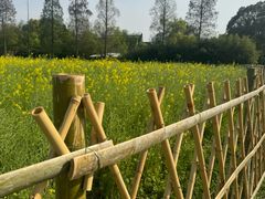 -广富林郊野公园