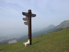 -大姆山草场