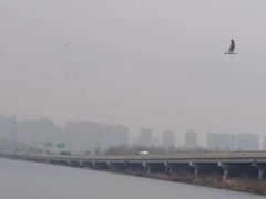 -丁香湖公园