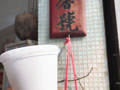 -洪馨椰子