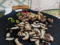 -春花秋色城市公园