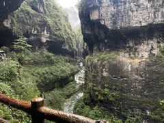 -鹿院坪生态旅游景区