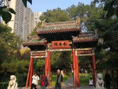 -迎泽公园