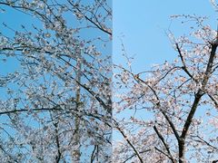 -龙美术馆(西岸馆)