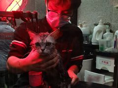 -宠物家(大兴旧宫店)