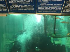 -鸿通城购物中心