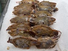 -火宴山海鲜自助火锅(新世界店)