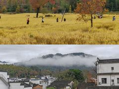 -塔川景区