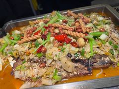 -京城·森鸽排档(双井店)
