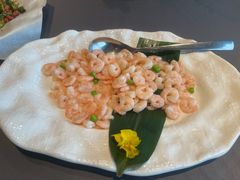 -新梅华餐厅(星悦汇店)