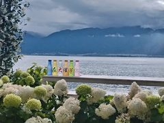 -大理洱海