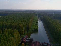 -黄海国家森林公园