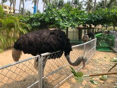 -三亚亚龙湾天域度假酒店