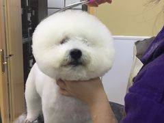 -惠康宠物医院(华能路店)