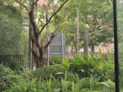-星河吉酒店-BOND大堂吧·咖啡·简餐