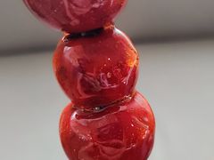 糖葫芦-麻六记(凤凰汇店)