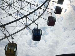 -柴犬小屋·柴餐厅·狗咖食堂(金鼎广场店)