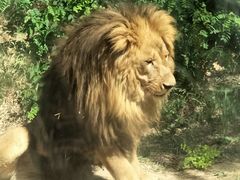 -石家庄市动物园