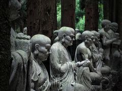 -武陵山森林公园