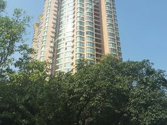 -晓港公园