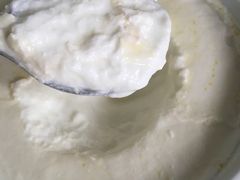 -德禄酸奶(莫家街店)