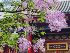 -西安市广仁寺