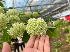 -洛阳市隋唐城遗址植物园