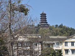 -庭院小酌(瑞莲街店)