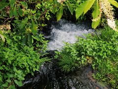 -白川乡与五箇山的合掌构造村落