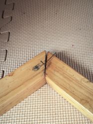 -268童话露营农场·烧烤·团建