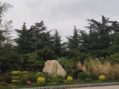 -西苑公园