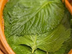 -釜山火炉·海鲜烤肉(紫藤路店)