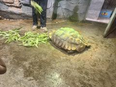 -石家庄市动物园